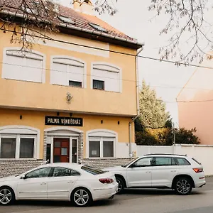 B&B Palma Vendeghaz, Seghedin
